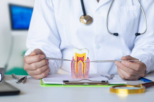 Best Emergency Root Canal Treatment in Attica, MI